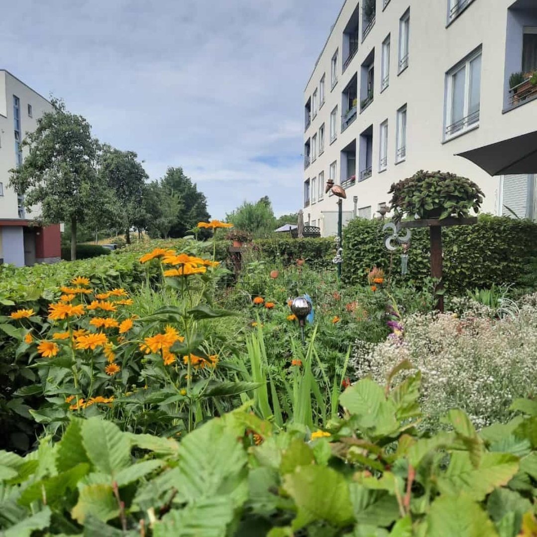 Ansicht auf die Grünanlagen