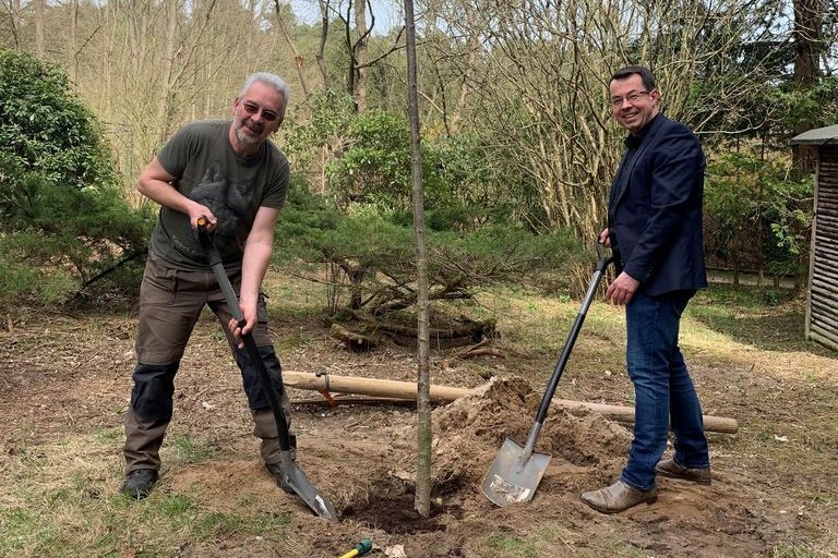 Mitarbeiter der NWG beim Pflanzen eines Baumes